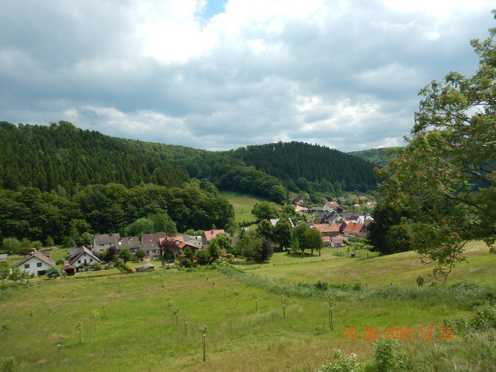 Gasthaus Koehlerhof Delliehausen Dış mekan fotoğraf